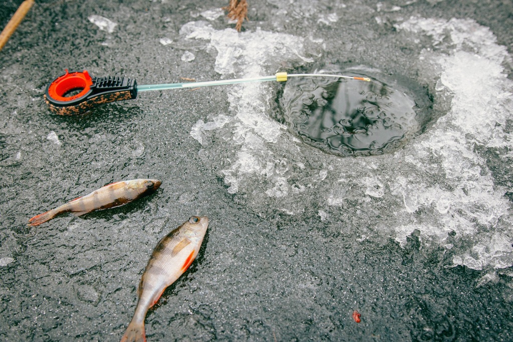 Ловля окуня на незнакомом водоеме зимой 00009.JPG